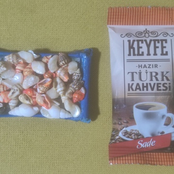 Deniz Kabuklu Mağnet + Kahve 